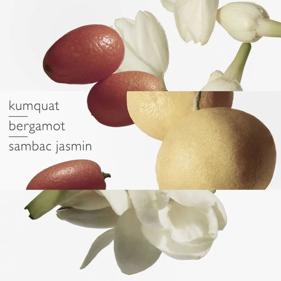 Le Jardin de Monsieur Li Eau de Toilette