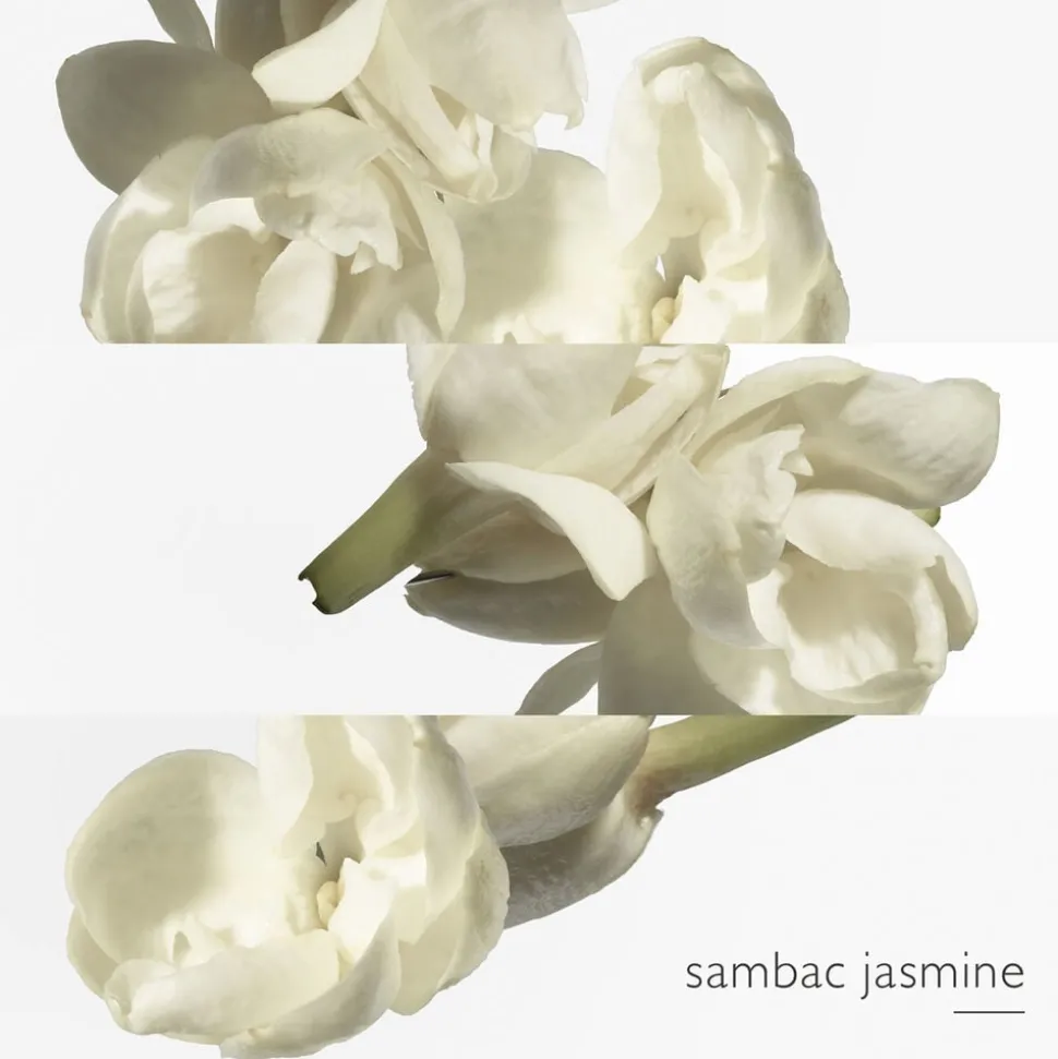 Le Jardin de Monsieur Li Eau de Toilette