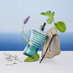 Le Male All-over shower gel 200 ml