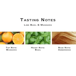 Lime Basil & Mandarin Cologne