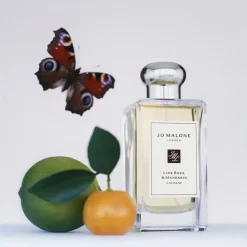 Lime Basil & Mandarin Cologne