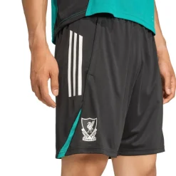 Liverpool EU Shorts