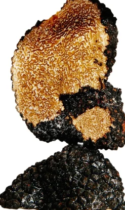 LOEWE Earth Eau de Parfum