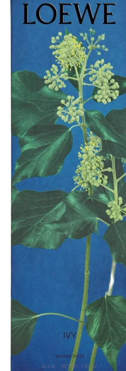 LOEWE Ivy Incense Sticks Refill
