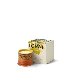 LOEWE Mimosa Candle Small