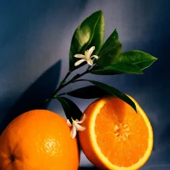 LOEWE Orange Blossom Room Spray 150 ml