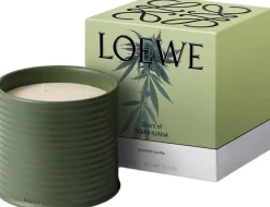 LOEWE Scent of Marihuana Candle