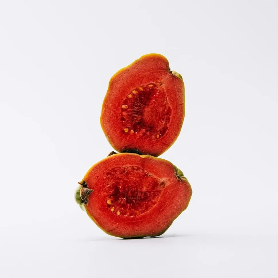 LOEWE Solo Eau de Toilette