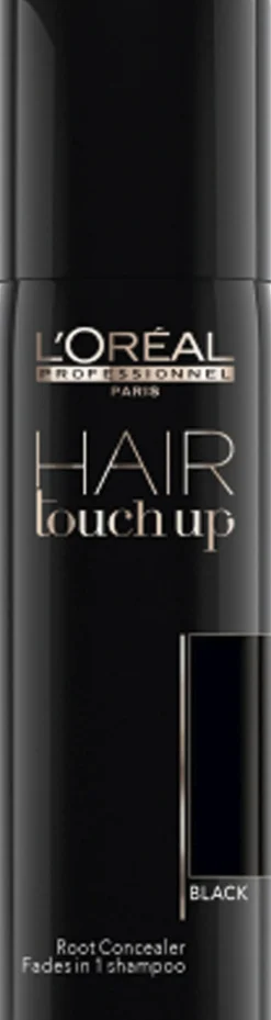 L'Oréal Professionnel Hair Touch Up Black