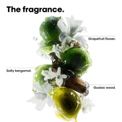 L'Oréal Professionnel Metal DX Discovery Set Mini: Shampoo 100ml + Mas