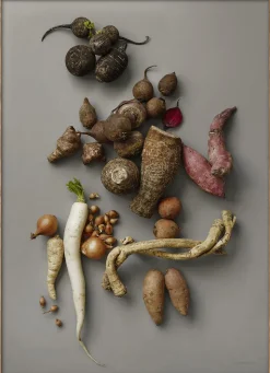 MAD/PLAKAT - Grå rødder- stilleben