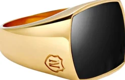 Men's Gold Signet Ring with Onyx