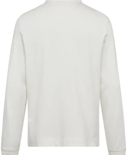 MENS LS POLO SHIRT PS EMB