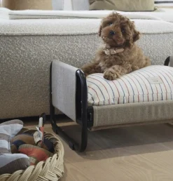 Milo Hundeseng - Medium