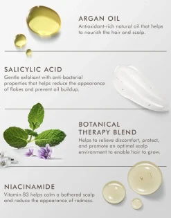 Moroccanoil Scalp Shampoo 250 ml.