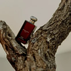 Myrrh & Tonka Cologne Intense