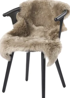 New Zealandsk Lammeskind, 100cm