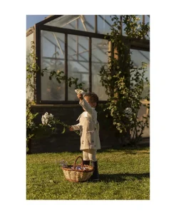 Oli & Carol - Bidering - Margarita the Daisy