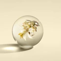 Orange & Bergamot Fine Liquid Hand Wash