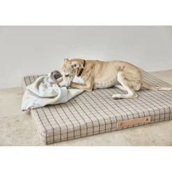 Otte Hunde Reblegetøj