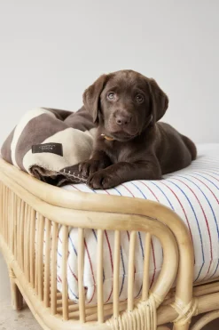 Otte Hundeseng - Medium