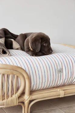 Otte Hundeseng - Medium