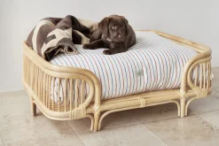 Otte Hundeseng - Medium