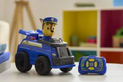 Paw Patrol Race & Rescue
