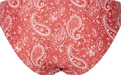 PCBAOMI BIKINI BRIEF BC