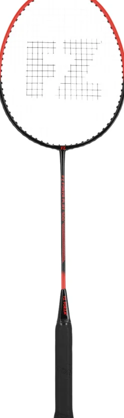 Play 500 Badmintonketcher