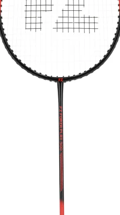 Play 500 Badmintonketcher