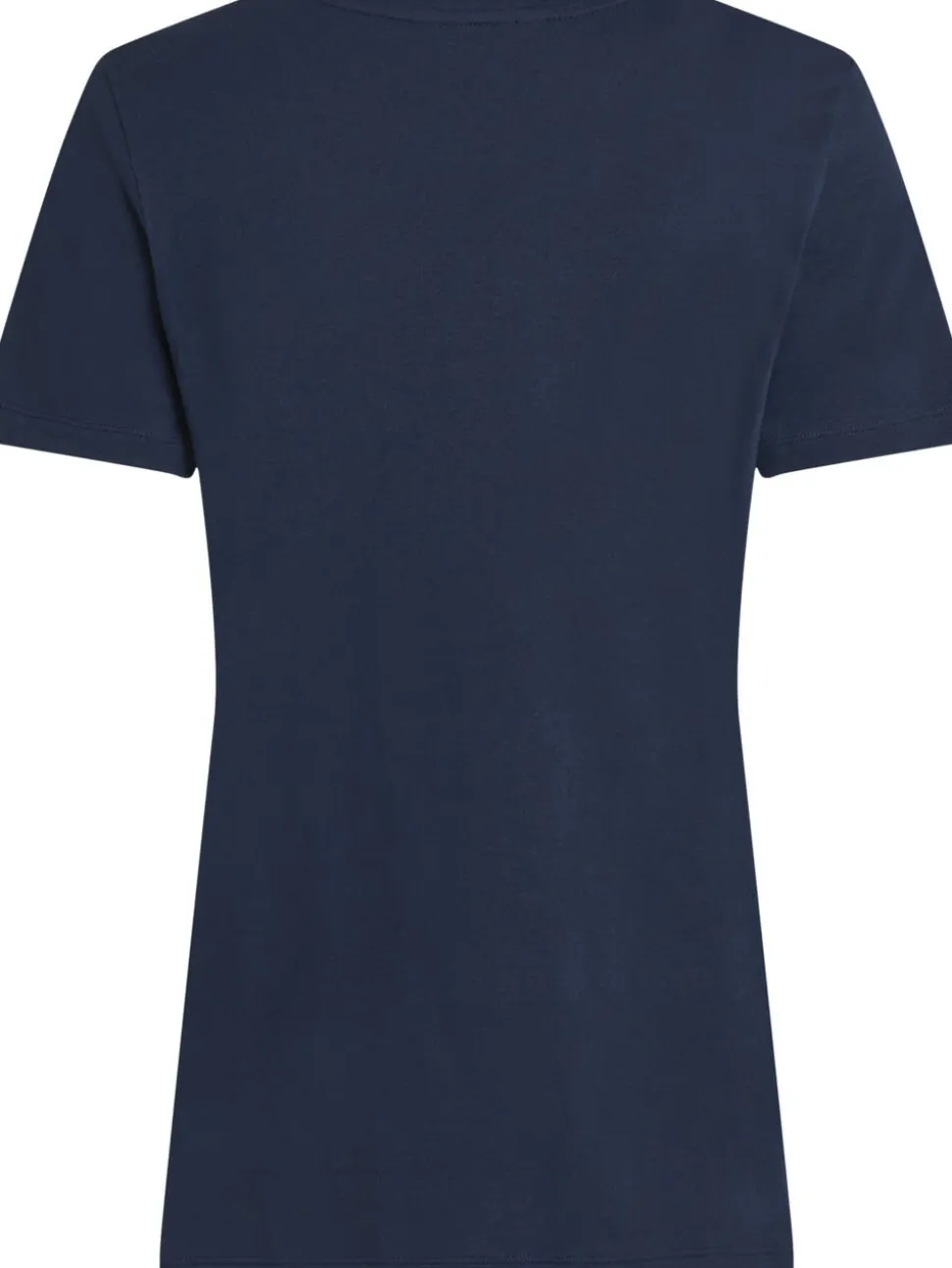 REG CORP LOGO C-NK SS