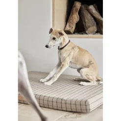 Robin Hundehalsbånd - Lille