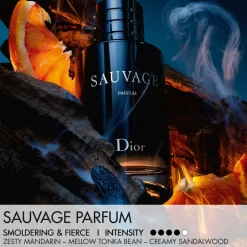 Sauvage Parfums Travel Spray 30ML INT25