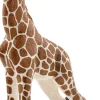 Sch Giraffe calf