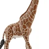 Sch Giraffe male