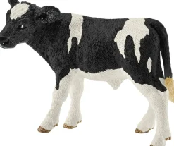 SCH13798 Holstein calf