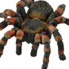 Sch Tarantula