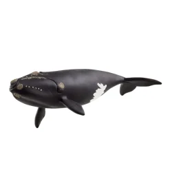 Schleich North Atlantic R