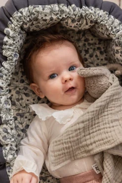 Sebra 3-i-1 Babynest, blue olive