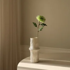 Semi-Cactus Dahlia Flower