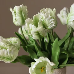 Small Parrot Tulip Flower