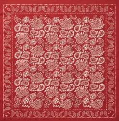 Soft Cotton Paisley Scarf Solid