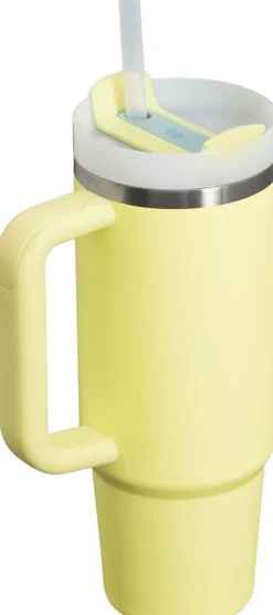 The Quencher H2. O FlowState Tumbler 0. 89L