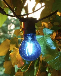 Tobias, Reservepære, Blå