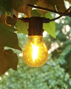 Tobias, Reservepære, Gul