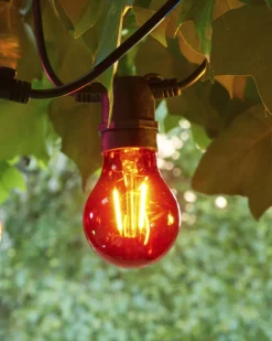 Tobias, Reservepære, Rød