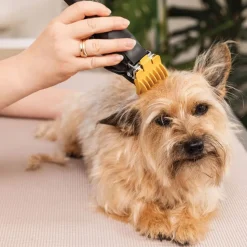 WAHL Hundeklipper Colour Pro