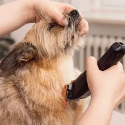 WAHL Hundeklipper Colour Pro