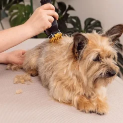 WAHL Hundeklipper Colour Pro
